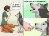 40726277777874804744.png