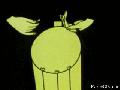 79520567315472575944.gif